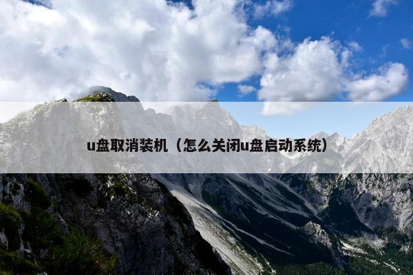 u盘取消装机（怎么关闭u盘启动系统）