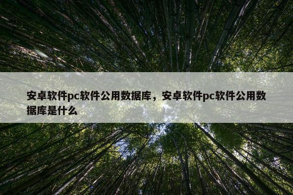 安卓软件pc软件公用数据库，安卓软件pc软件公用数据库是什么