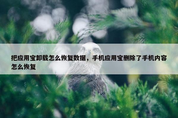 把应用宝卸载怎么恢复数据，手机应用宝删除了手机内容怎么恢复