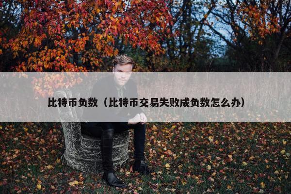 比特币负数（比特币交易失败成负数怎么办）