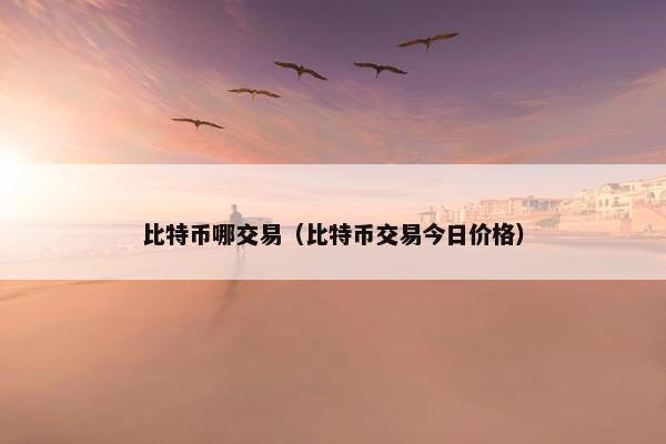 比特币哪交易（比特币交易今日价格）