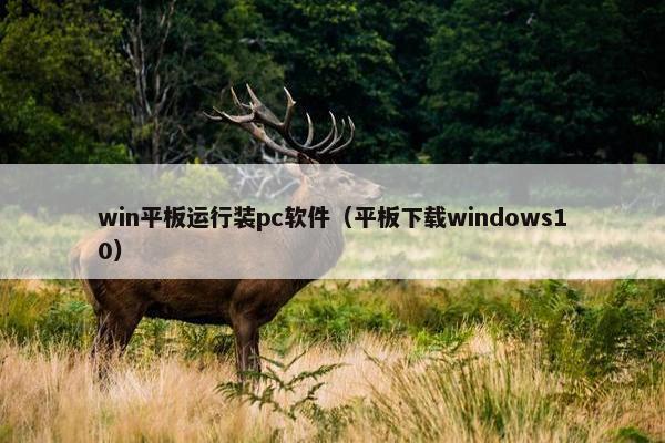 win平板运行装pc软件（平板下载windows10）