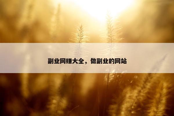 副业网赚大全，做副业的网站