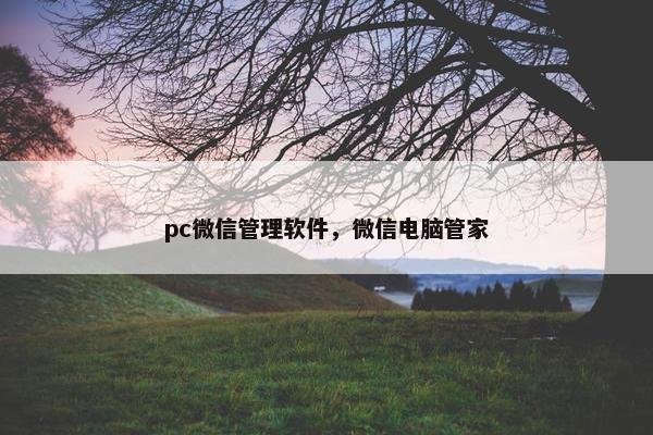 pc微信管理软件，微信电脑管家