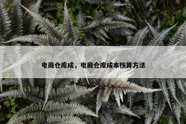 电商仓库成，电商仓库成本核算方法