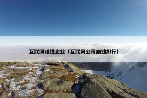 互联网赚钱企业（互联网公司赚钱排行）
