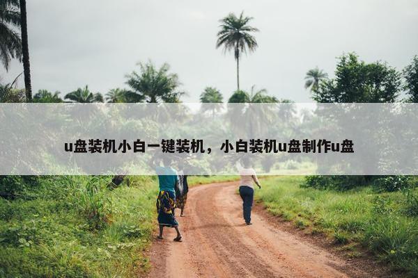 u盘装机小白一键装机，小白装机u盘制作u盘