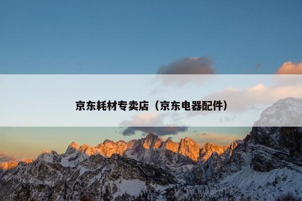 京东耗材专卖店（京东电器配件）
