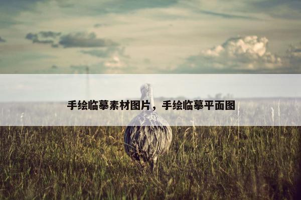 手绘临摹素材图片，手绘临摹平面图