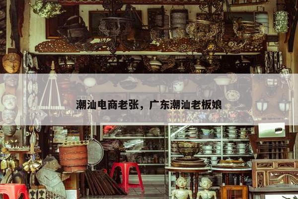 潮汕电商老张，广东潮汕老板娘