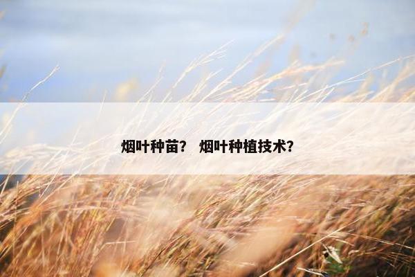 烟叶种苗？ 烟叶种植技术？