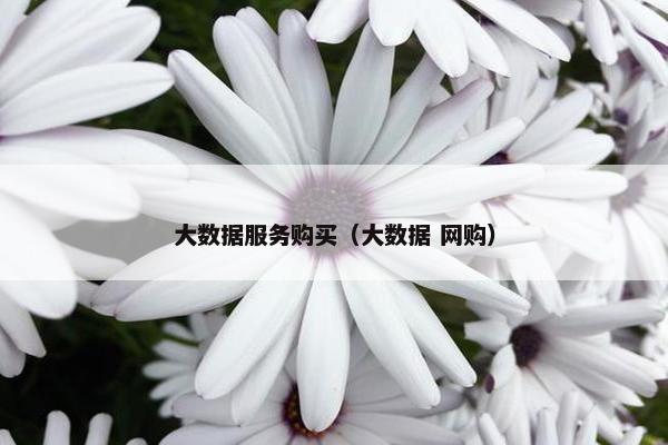 大数据服务购买（大数据 网购）
