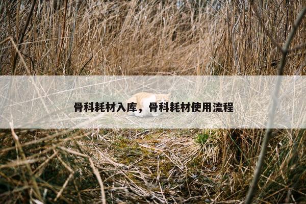 骨科耗材入库，骨科耗材使用流程