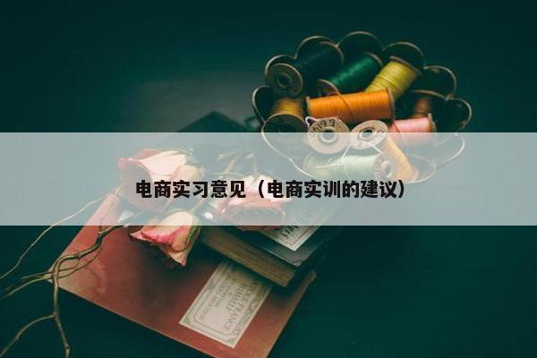 电商实习意见（电商实训的建议）