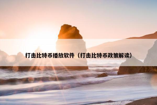 打击比特币播放软件（打击比特币政策解读）