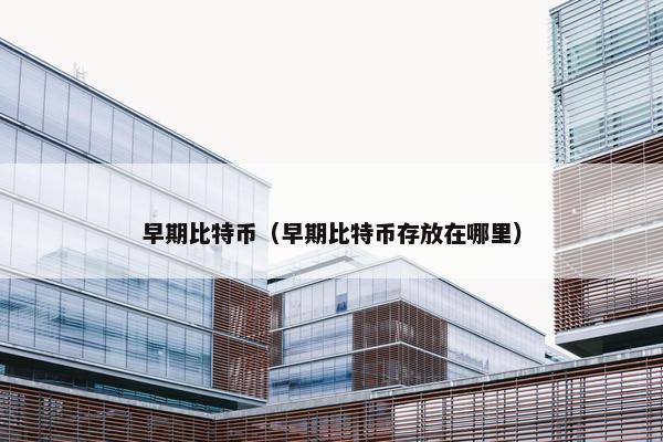 早期比特币（早期比特币存放在哪里）