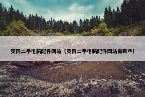 英国二手电脑配件网站（英国二手电脑配件网站有哪些）