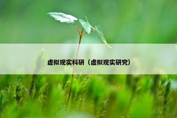 虚拟现实科研（虚拟现实研究）