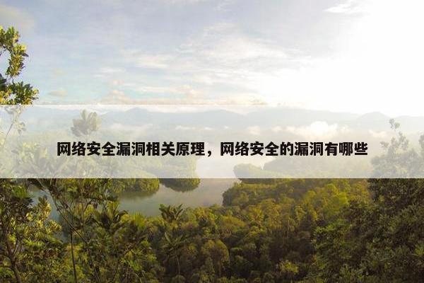 网络安全漏洞相关原理，网络安全的漏洞有哪些