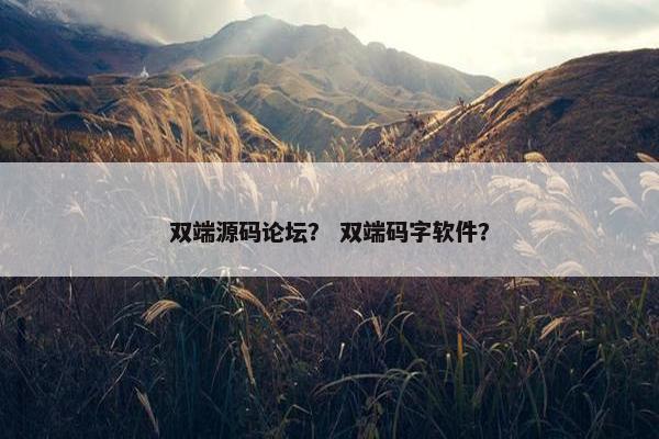 双端源码论坛？ 双端码字软件？