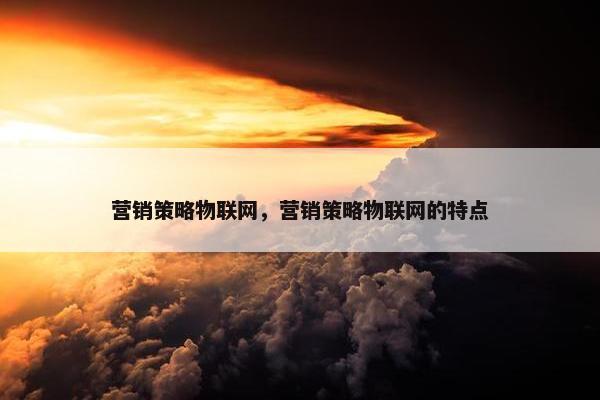 营销策略物联网，营销策略物联网的特点
