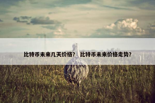 比特币未来几天价格？ 比特币未来价格走势？