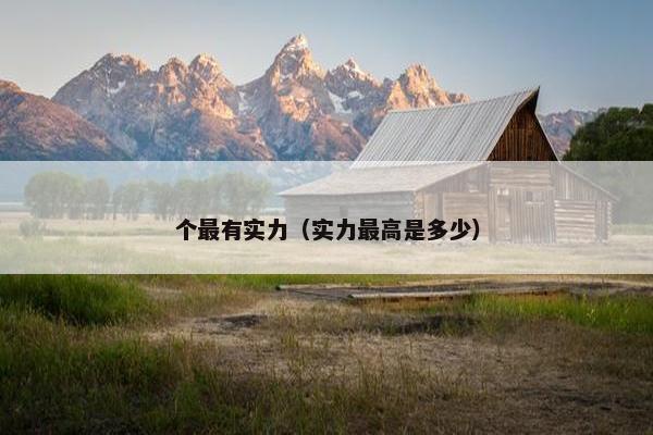个最有实力（实力最高是多少）