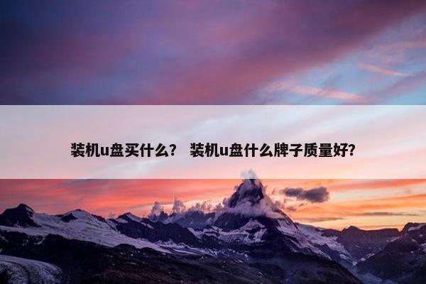 装机u盘买什么？ 装机u盘什么牌子质量好？