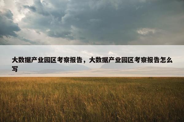 大数据产业园区考察报告，大数据产业园区考察报告怎么写