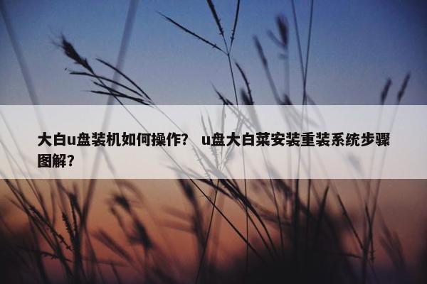 大白u盘装机如何操作？ u盘大白菜安装重装系统步骤图解？