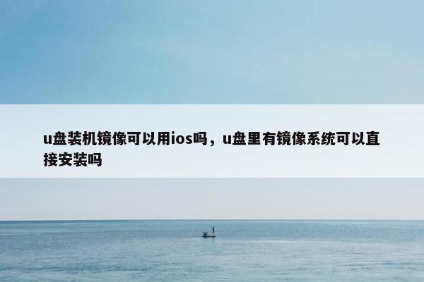 u盘装机镜像可以用ios吗，u盘里有镜像系统可以直接安装吗