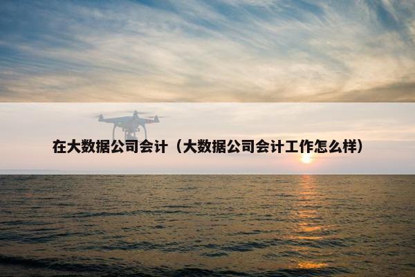 在大数据公司会计（大数据公司会计工作怎么样）