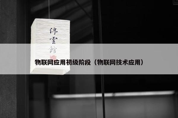 物联网应用初级阶段（物联网技术应用）