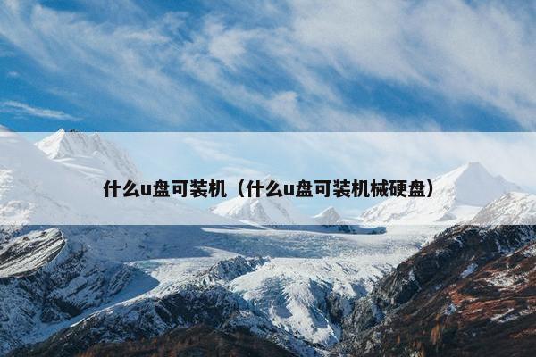 什么u盘可装机（什么u盘可装机械硬盘）