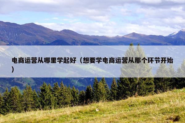 电商运营从哪里学起好（想要学电商运营从那个环节开始）