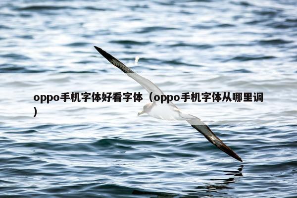 oppo手机字体好看字体（oppo手机字体从哪里调）