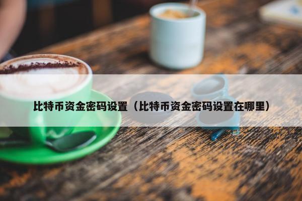 比特币资金密码设置（比特币资金密码设置在哪里）