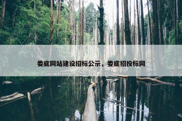 娄底网站建设招标公示，娄底招投标网