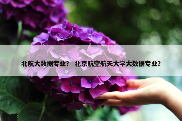 北航大数据专业？ 北京航空航天大学大数据专业？