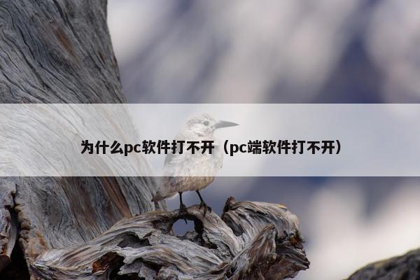为什么pc软件打不开（pc端软件打不开）