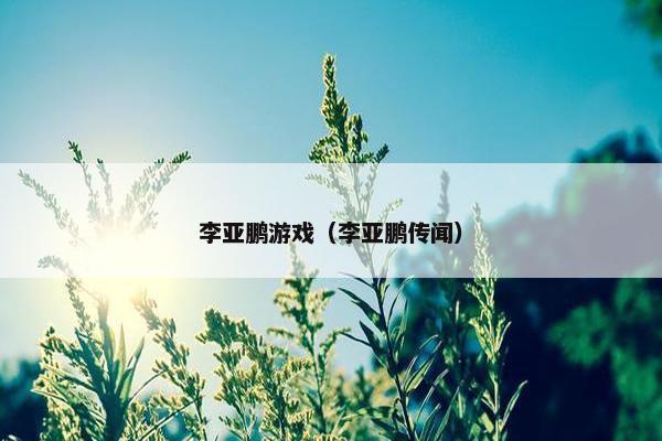 李亚鹏游戏（李亚鹏传闻）
