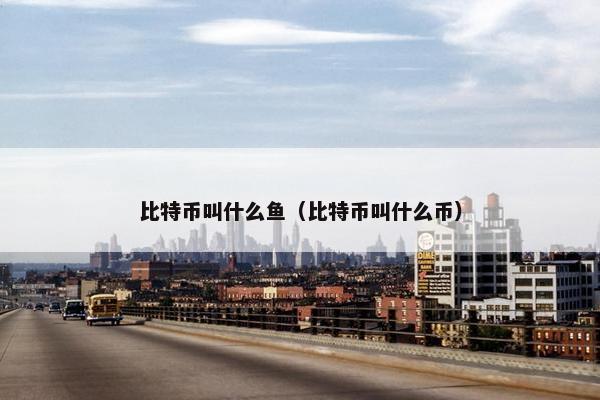 比特币叫什么鱼（比特币叫什么币）