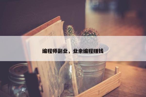 编程师副业，业余编程赚钱