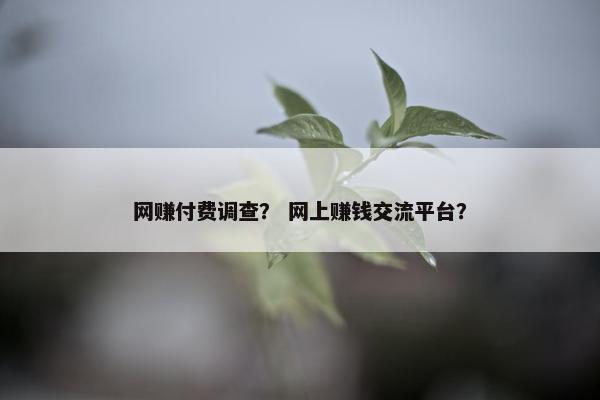 网赚付费调查？ 网上赚钱交流平台？