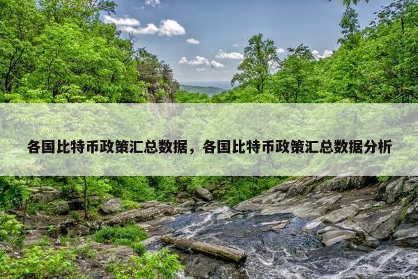 各国比特币政策汇总数据，各国比特币政策汇总数据分析