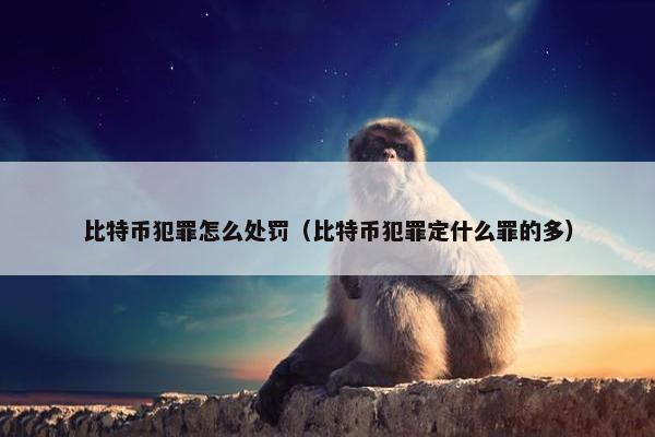 比特币犯罪怎么处罚（比特币犯罪定什么罪的多）