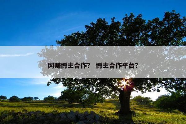 网赚博主合作？ 博主合作平台？