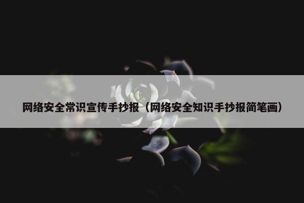 网络安全常识宣传手抄报（网络安全知识手抄报简笔画）