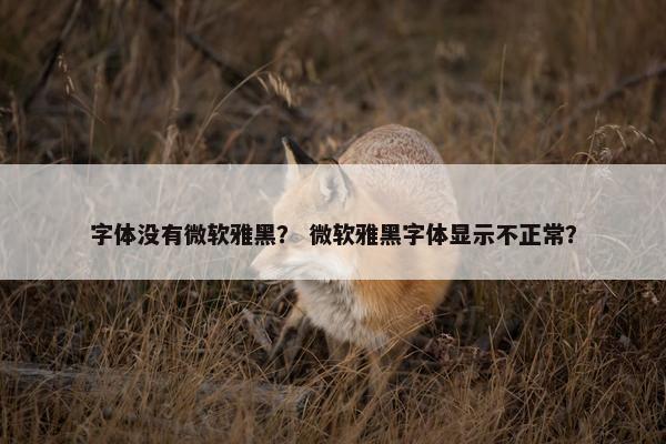 字体没有微软雅黑？ 微软雅黑字体显示不正常？