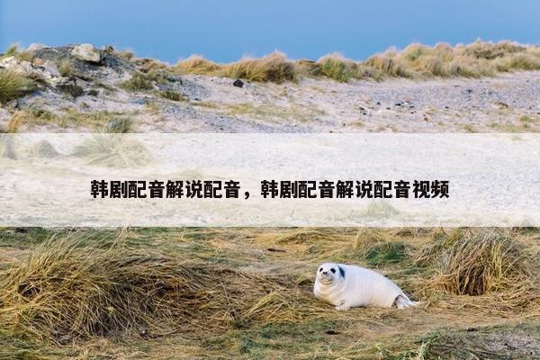 韩剧配音解说配音，韩剧配音解说配音视频
